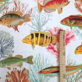 Tessuto no stiro H 160 cm - PESCI E CORALLI