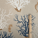 Cotone Fondo Grezzo H 280 cm - CORALLI E CAVALLUCCI MARINI