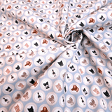 Cotone Americano - Collezione “Love Family” Azzurro Polvere