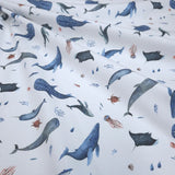 MINI PACK SOGNI OCEANICI - 3 pezzi