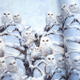 Tessuto per Tovaglie con abbassamento H 160 cm - GUFO DELLE NEVI