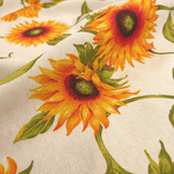 Cotone Fondo Grezzo H 280 cm - GIRASOLI