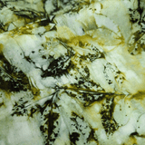 Cotone Americano H 110 cm - IMPRONTE DI FOGLIE