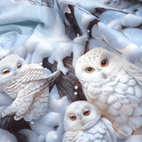 Tessuto per Tovaglie con abbassamento H 160 cm - GUFO DELLE NEVI