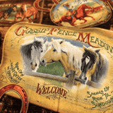 Cotone Americano H 110 cm - RANCH