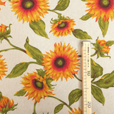 Cotone Fondo Grezzo H 280 cm - GIRASOLI