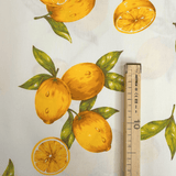 Cotone Fondo Panama H 180 cm - LIMONI