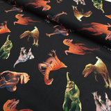 Cotone Americano H 110 cm - DINOSAURI