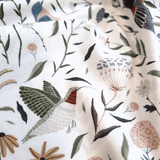 Cotone Americano H 110 cm - GIARDINO ALATO