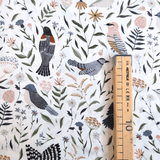 Cotone Americano H 110 cm - GIARDINO ALATO