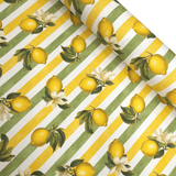 Panama Digital Fund Cotton - TROPICAL - coupe minimum ou multiples de 25 x 280 cm