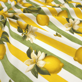 Panama Digital Fund Cotton - TROPICAL - coupe minimum ou multiples de 25 x 280 cm