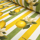 Panama Digital Fund Cotton - TROPICAL - coupe minimum ou multiples de 25 x 280 cm