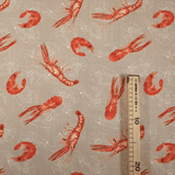 Fonds Panama Coton H 160 cm - SCAMPI/BEIGE