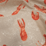 Fonds Panama Coton H 160 cm - SCAMPI/BEIGE