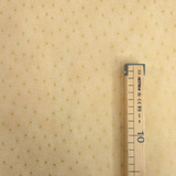 Cotone Americano H 110 cm - COORDINATO PANNA/ORO