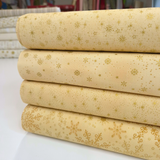 Cotone Americano H 110 cm - COORDINATO PANNA/ORO