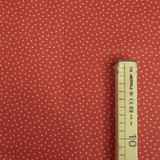 Cotone Americano H 110 cm - MINI STELLINE