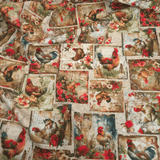 Panama Digital Fund Cotton – TROPICAL – Mindestschnitt oder Vielfaches von 25 x 280 cm