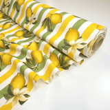 Panama Digital Fund Cotton - TROPICAL - coupe minimum ou multiples de 25 x 280 cm