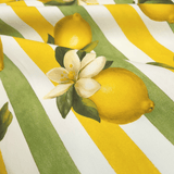 Panama Digital Fund Cotton - TROPICAL - coupe minimum ou multiples de 25 x 280 cm