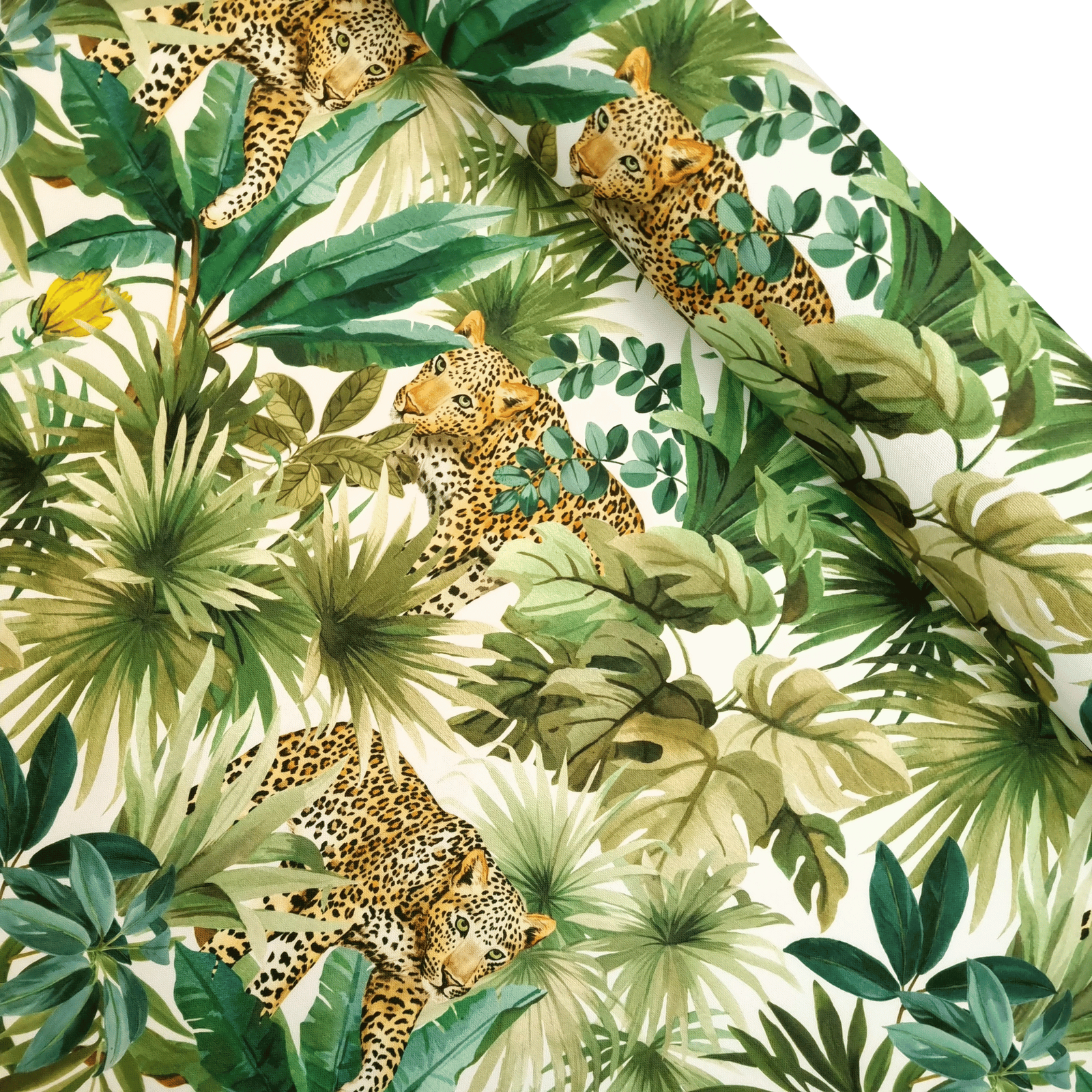 DreamRoots Tessuto Impermeabile al metro 160 cm Larghezza, 220 g/m² 600D, Stoffa per Cuscini Esterni - Black Tropical Forest 1M DreamRoots Tessuto Impermeabile al metro 160 cm Larghezza, 220 g/m² 600D, Stoffa per Cuscini Esterni - Black Tropical Forest 1M