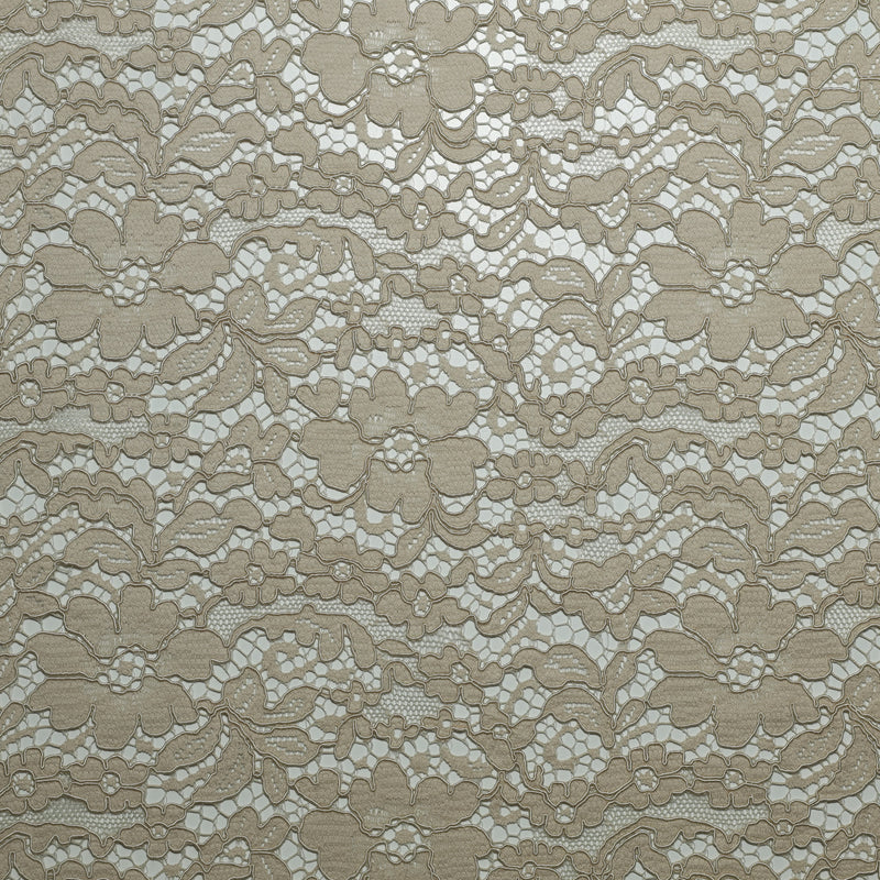 DENTELLE REBRODE' - BRUTE - coupe minimum ou multiples de 25 x 140 cm