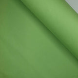 Fleckenabweisender Stoff – GRÜN – Mindestzuschnitt oder Vielfaches von 25 x 150 cm